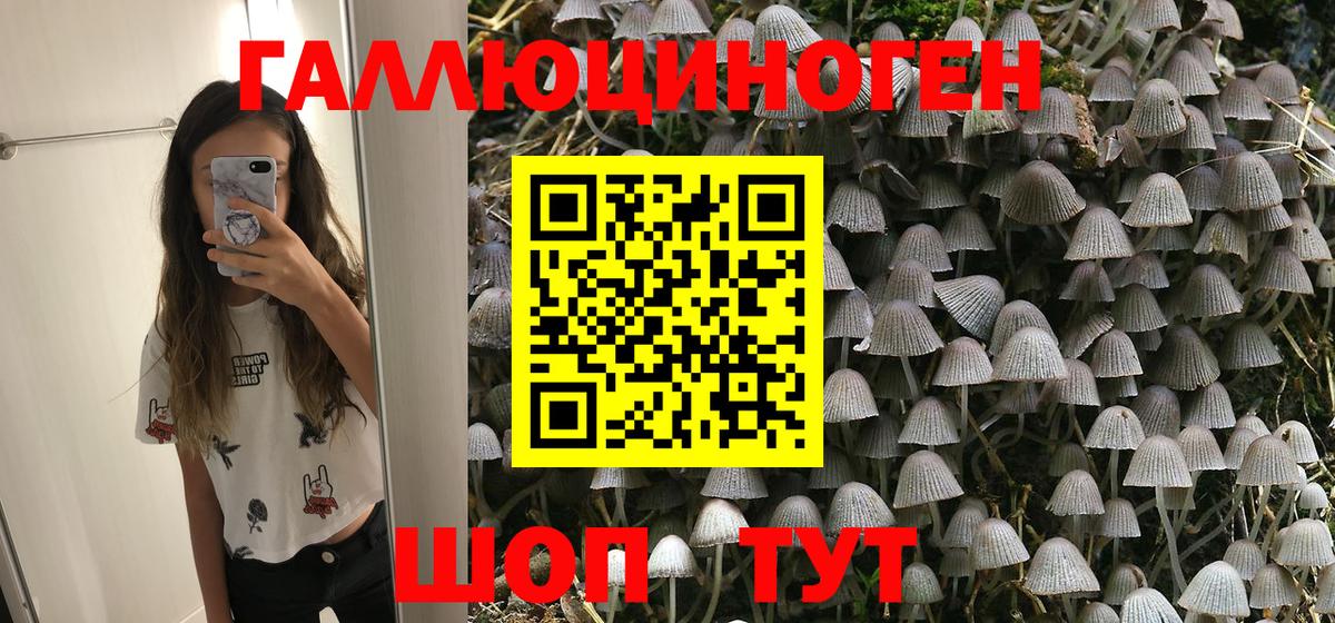 Псилоцибиновые грибы MAGIC MUSHROOMS Королёв