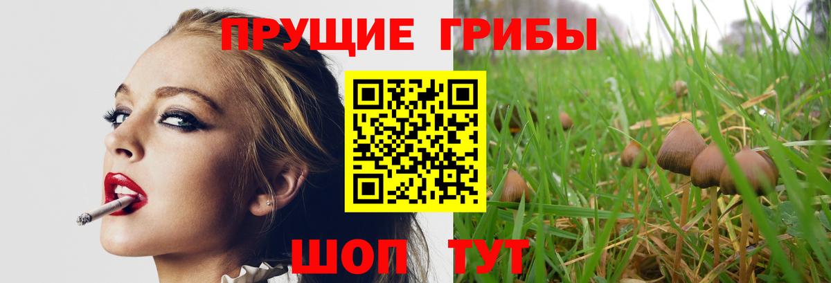 Королёв  Псилоцибиновые грибы Psilocybe  Галлюциногенные грибы ЛСД  Вход с VPN 